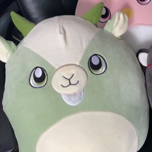 12 Inch Palmer Squishmallow Rare!